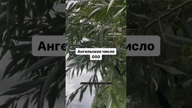 Ангельские числа 000 Архангел Метатрон