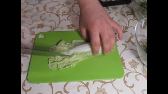 Салат из микрозелени с секретной заправкой #салат #рецепт #микрозелень смотреть онлайн