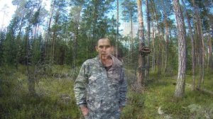 Работа фотоловушки от солнечной панели