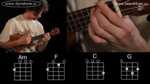 Видео урок: как играть песню Otherside - RHCP на укулеле (гавайская гитара)