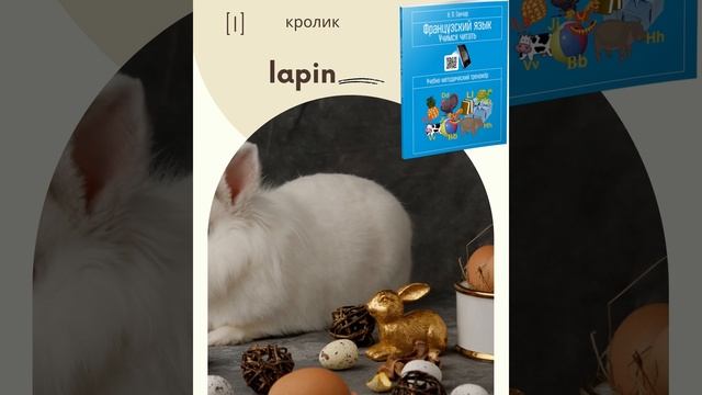 Французский язык. Буква Ll
