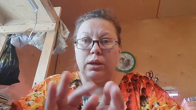 Хотите ранний урожай томатов? Какие лучше томатные гномы или Сибирские ранние сорта?#семенатоматов