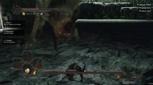 Командир крысиной гвардии [Dark Souls II]