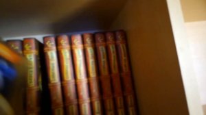 Моя коллекция книг Коты воители