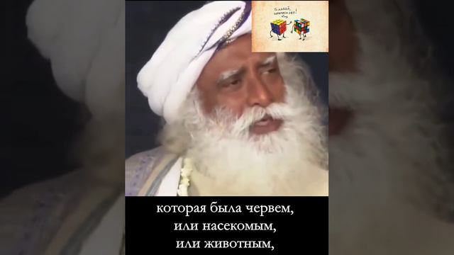 Философия жизни _ Садхгуру