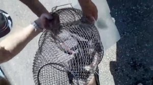 Рыбалка в Аксаково