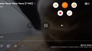 ЧИПИ ЧИПИ ЧАПА ЧАПА!!!!!!!!!!!