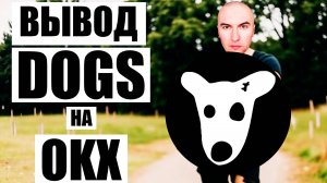 Как Вывести DOGS на OKX (для новичков) | Как Заработать Криптовалюту Новичку