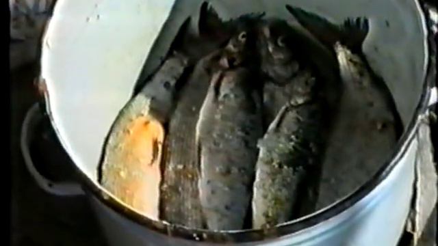 п. Чернышевский - Вчера и Сегодня - 199х год