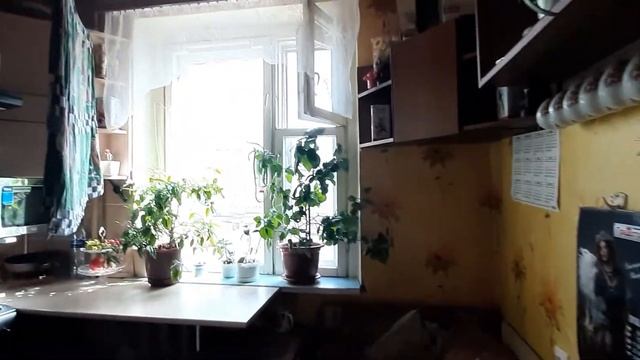 Недвижимость в Вологде Покупайте 1-комнатную квартиру  в престижном районе недорого 89217161970