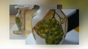 Декупаж и декор деревянной вазочки.