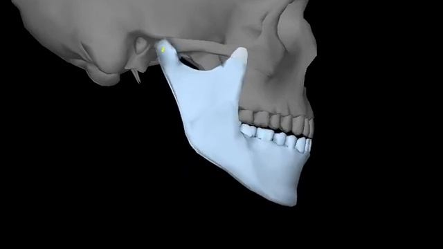 Нормальная аксиография - выдвижение нижней челюсти смотреть онлайн