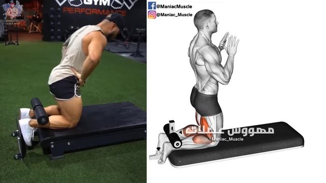 10 Easy Exercises Hamstring Workout | Leg Day смотреть онлайн