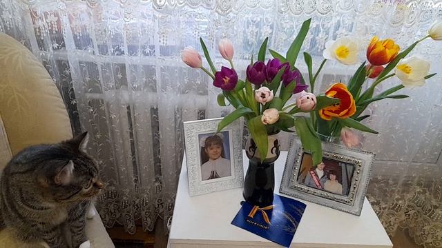 лИса