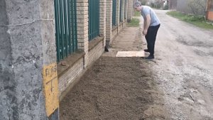 Посев, трамбовка и полив газона на даче