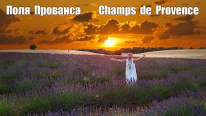 9 жарких дней в Провансе, часть-6: Поля Прованса