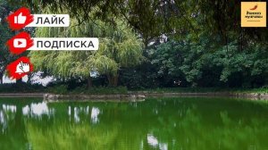 Рассказ мужчины | Измена жены. Муж на охоту, а жена к любовнику. Месть мужа. Реальная история
