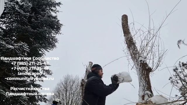 КРОНИРОВАНИЕ ДЕРЕВЬЕВ. УДАЛЕНИЕ ДЕРЕВЬЕВ ЛЮБОЙ СЛОЖНОСТИ.