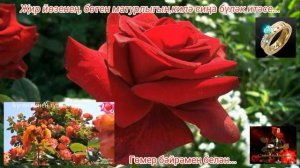 Туган көнең белән...