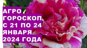 Агрогороскоп с 21 по 24 января 2024 года Agrohoroscope from January 21 to January 24, 2024