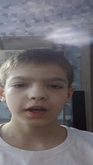 паровая швабра