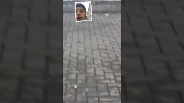 Моя школа смотреть онлайн