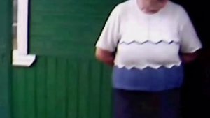 Сенбернар: от щенка до взрослой собаки.