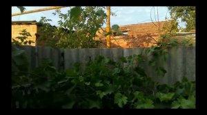 Дознаватели МЧС с.Кулешовка Ростовской Области сделали неправильный акт о пожаре 13.10.2015 г.