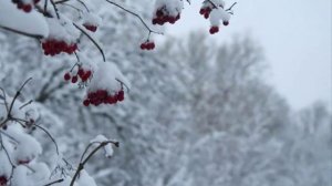 В ЭТОЙ ДЕРЕВНЕ ОГНИ НЕ ПОГАШЕНЫ....