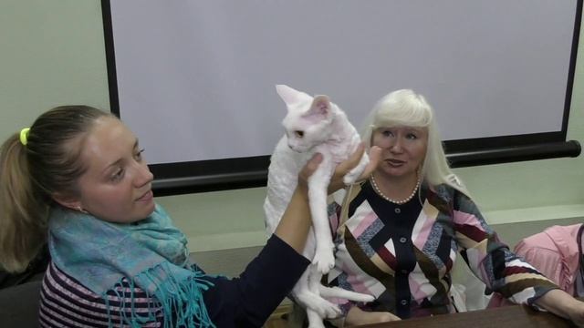 Дикари и их гибриды в фелинологии.mp4