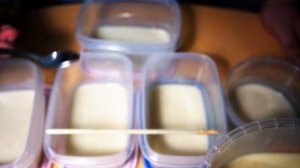 Нематода, как  развести, как размножать, как кормить