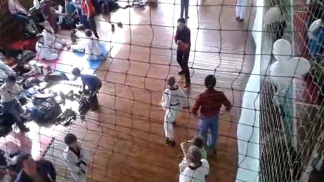 Дети таеквондо смотреть онлайн