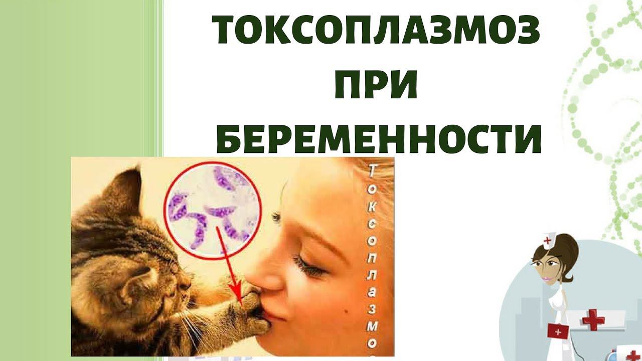 Токсоплазмоз при беременности! смотреть онлайн