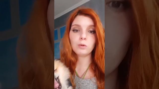 Как приучить щенка к туалету на улицу, если ничего не помогает. смотреть онлайн