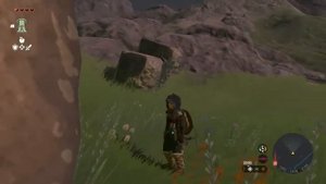 The Legend of Zelda: Tears of the Kingdom приколы, баги, смешные моменты, смех, зельда.