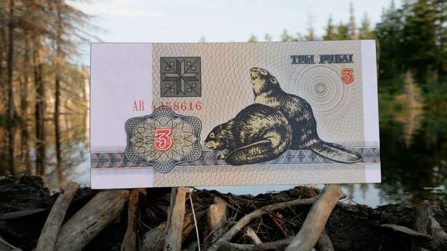 Белорусские банкноты 1992-2000гг.