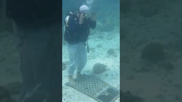 ?☀️?Сура Ясин -  Слушайте утром и перед сном успокаивает сердце?? смотреть онлайн