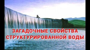 Обсуждение свойств структурированной воды в рамках программы  "ПИР здоровья"