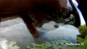 Рыбалка в Тульской области 2020.р.Упа.Джиг.Щука.