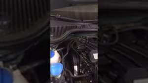 Скрежет со стороны ролика ГРМ на Октавии 1.6