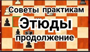 3) ЭТЮДЫ. Продолжение.