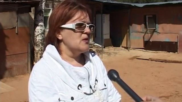 Городской приют для животных смотреть онлайн