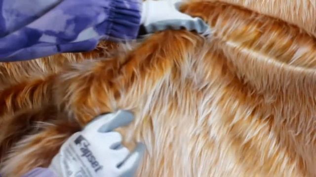 Искусственный мех, длинноворсовый 30 мм, рыжий, для игрушек, рукоделия, ИП-2703 смотреть онлайн