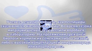 Популярные пестициды оказались токсичны для птиц