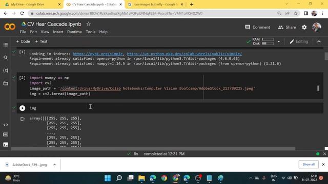 Step by Step Guide for Object Detection | Haar Cascade Data | Computer Vision | by Jaya Gupta