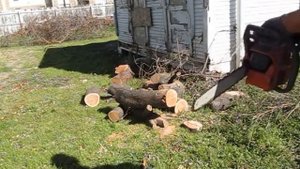 Husqvarna chainsaw 23 compact vs Husqvarna 141 vs 450 Rancher