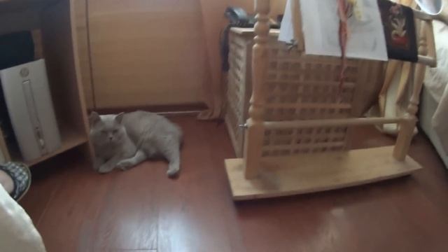 Жаркое утро понедельника смотреть онлайн