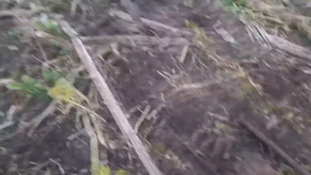 "КОП МЕТАЛЛОЛОМА". 370 КГ НА ЗАБРОШЕННОЙ ФЕРМЕ: ЧАСТЬ 2 смотреть онлайн