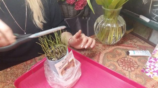 март 2021 дела тепличные серия №5 смотреть онлайн