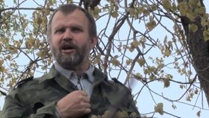 Травовед.  Осина.  Рассказывает Моряков Сергей Викторович